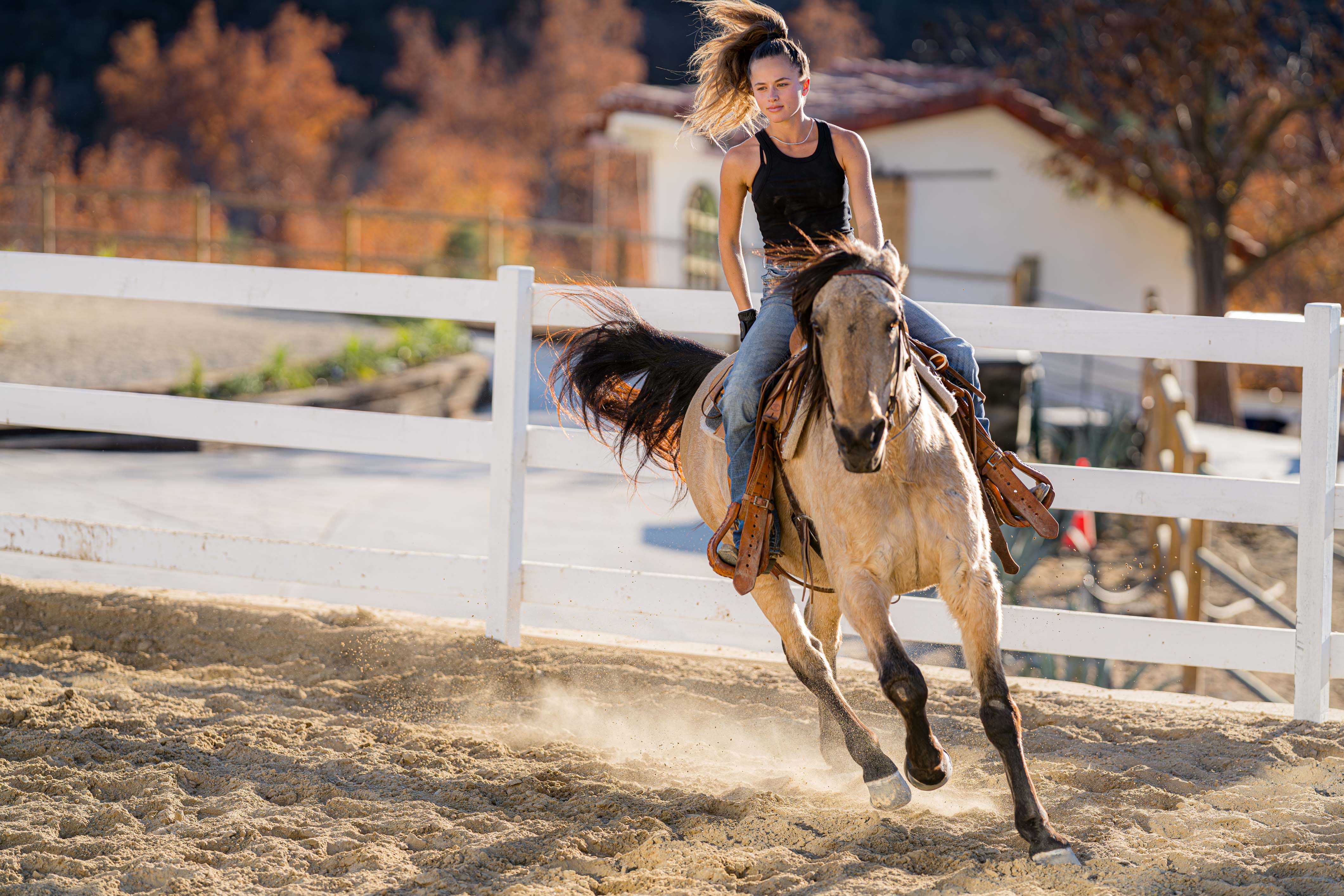 Agoura Hills Ranch 82