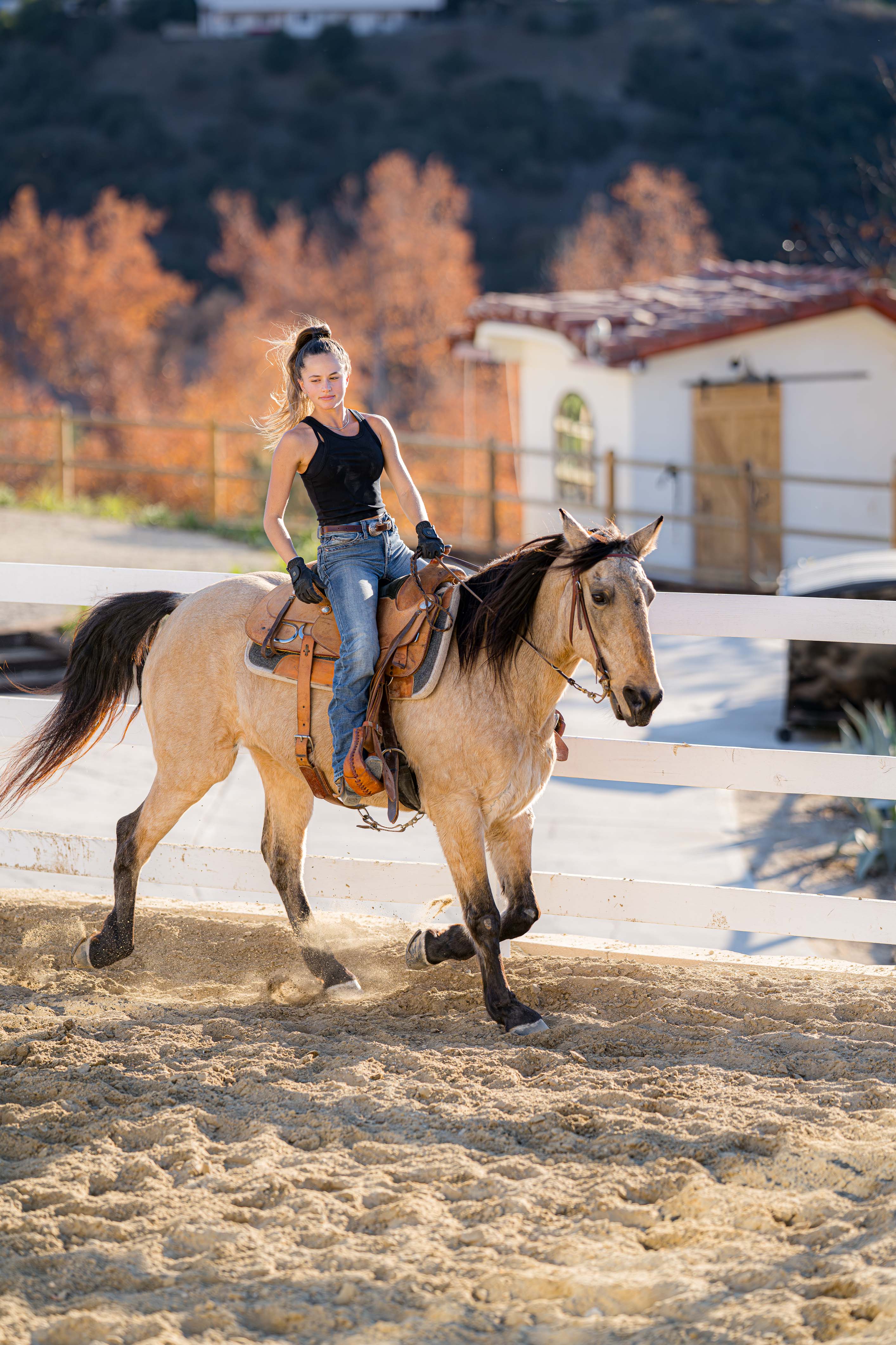 Agoura Hills Ranch 81